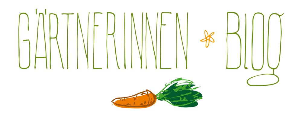 Illustration Gestaltung Blog