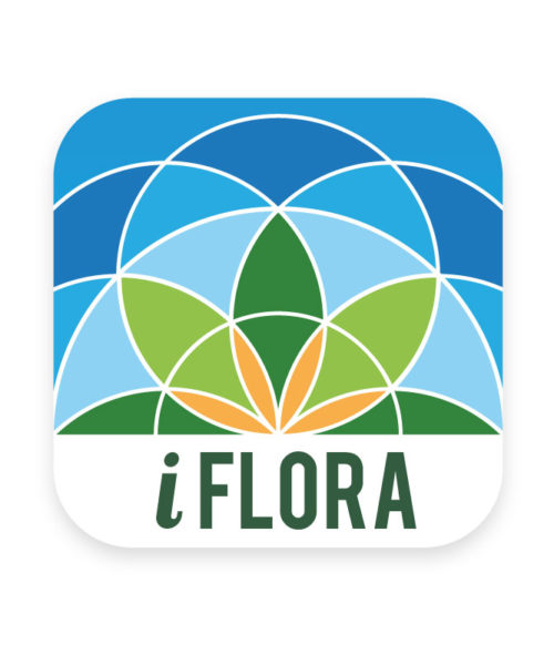 iFlora Icon